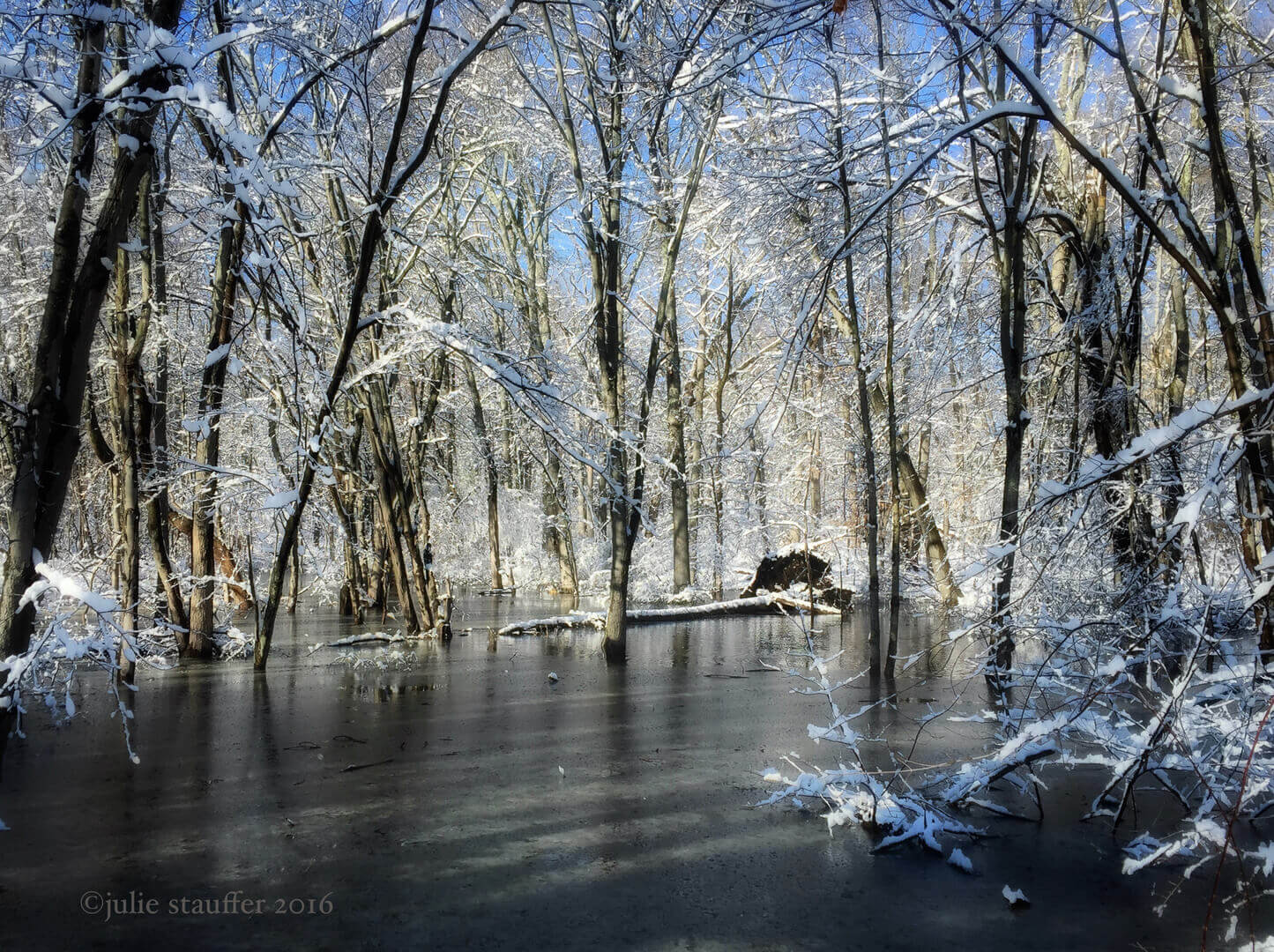 Iphone Photography Workshop At Carriage Barn Arts Center New