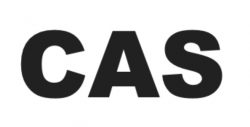 CAS Friese LLC